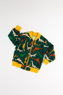 Conjunto Moletom  Dino